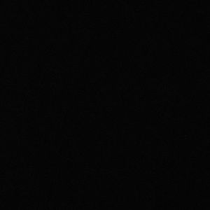 Meet your Posher, Zippy